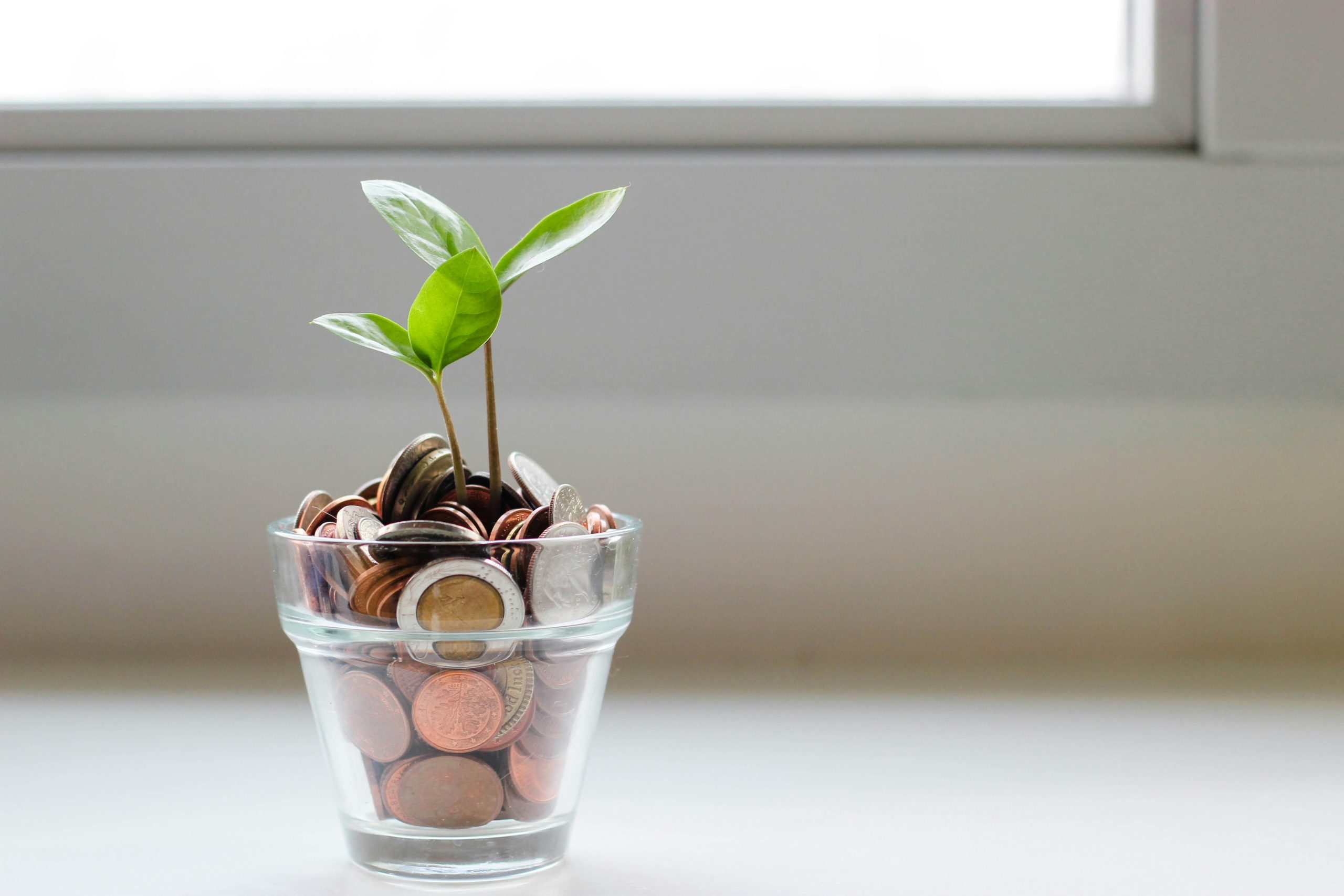 Discover Your Tax Savings!